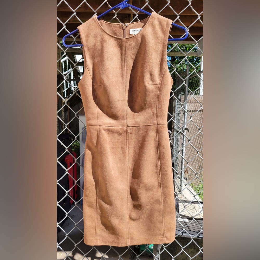 Ever New Suede Dress